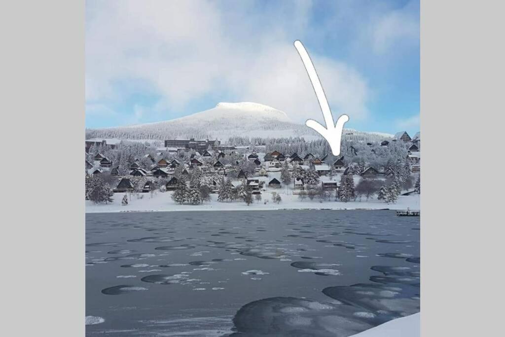 Authentique Chalet Vue Sur Le Lac Et Les Pistes Besse-et-Saint-Anastaise Eksteriør billede