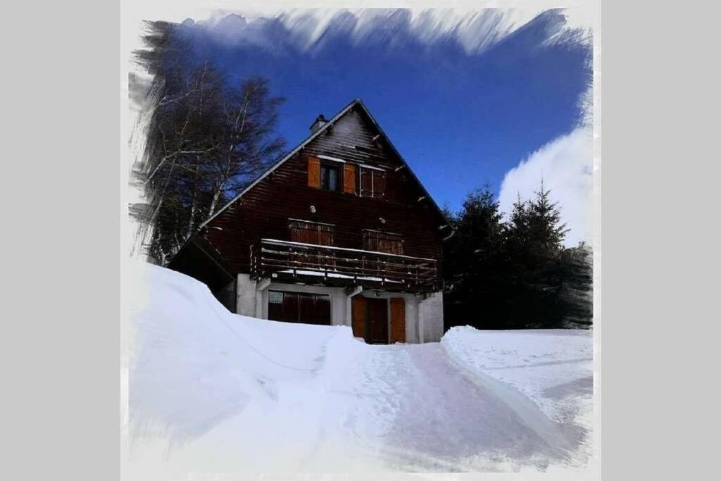 Authentique Chalet Vue Sur Le Lac Et Les Pistes Besse-et-Saint-Anastaise Eksteriør billede