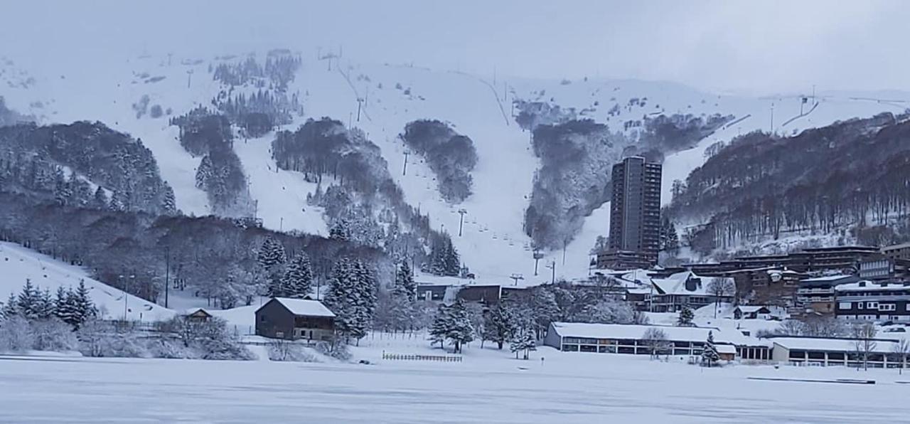 Authentique Chalet Vue Sur Le Lac Et Les Pistes Besse-et-Saint-Anastaise Eksteriør billede