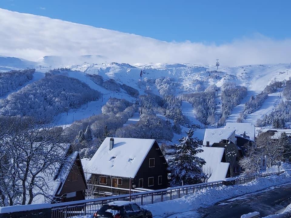 Authentique Chalet Vue Sur Le Lac Et Les Pistes Besse-et-Saint-Anastaise Eksteriør billede